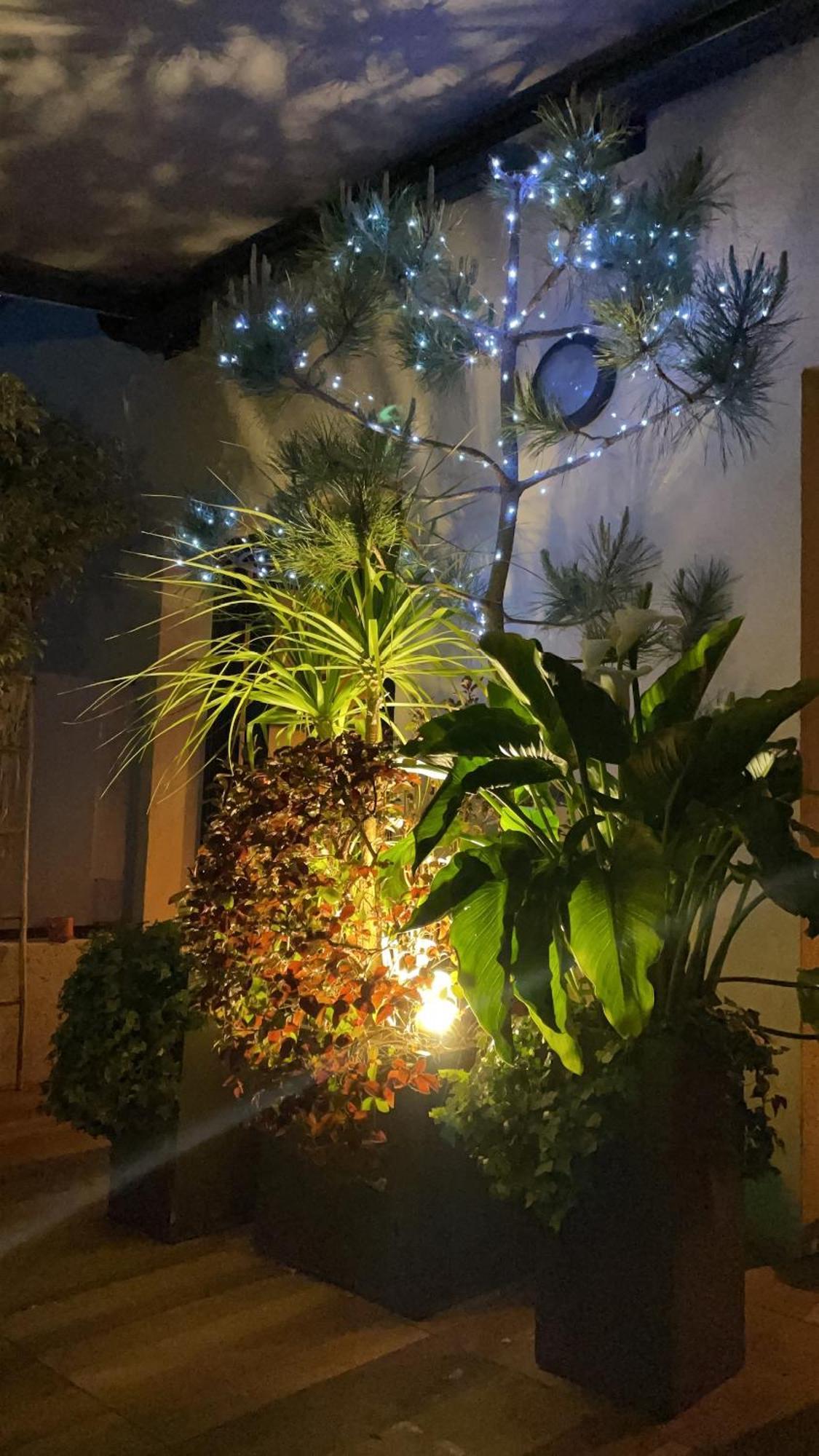 Exceptional Terrace In Center Of Appartamento *